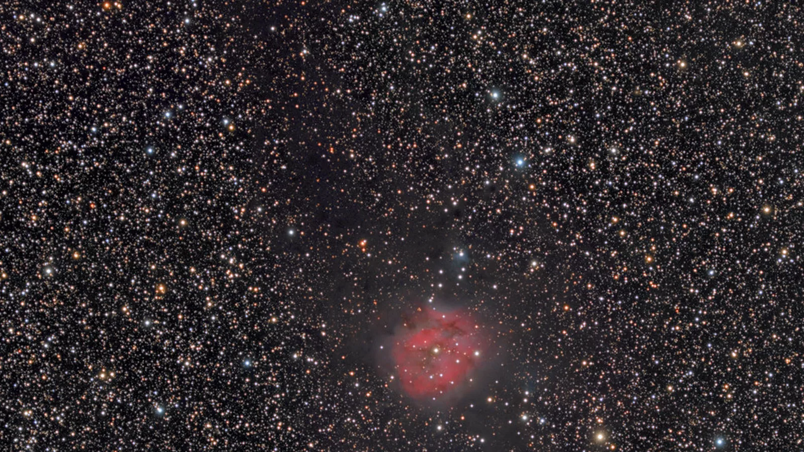 IC5146 Cocoon Nebula. Ilustracija uz vest: NASA APOD prikazuje Cocoon Nebulu i njen gotovo 100 svetlosnih godina dug prašnjavi rep