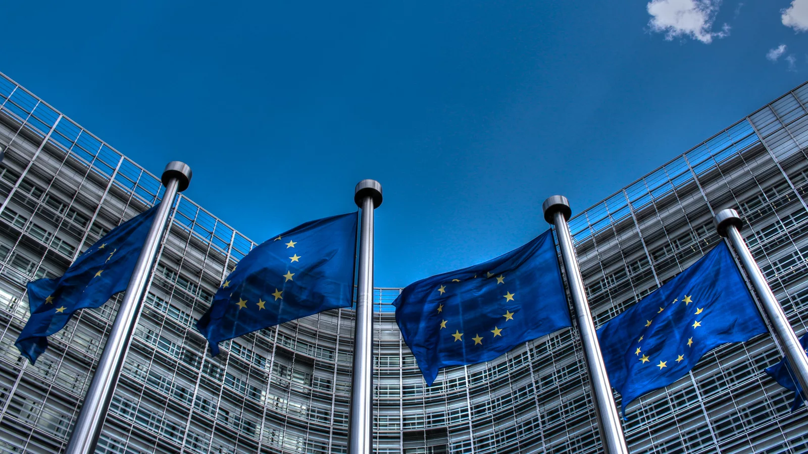 European Union Flags 2. Ilustracija uz vest: EU ne priznaje predsedničke izbore u Južnoj Osetiji i smatra rezultat ništavim