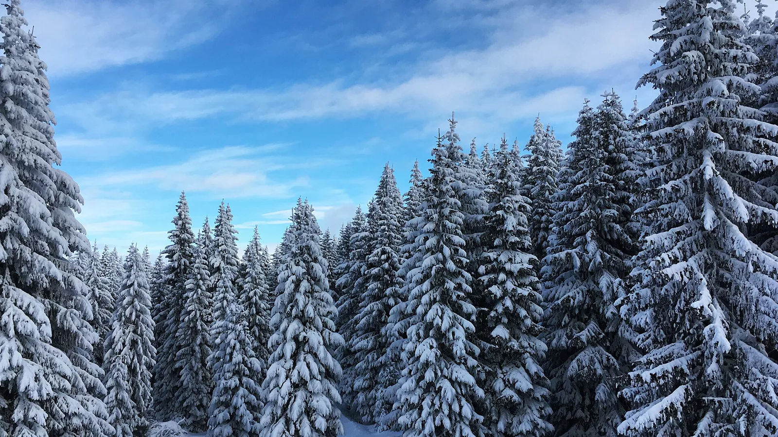 Kopaonik, Serbia.jpg. Kopaonik mountain in Serbia in winter conditions with snow.. Ilustracija uz vest: Velika temperaturna razlika u Srbiji: Kopaonik na nuli, sever zemlje do 17 stepeni